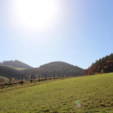 Appartement Mit Balkon Und Toller Aussicht, Cleaning Included Willingen (Upland)